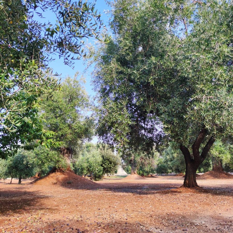 Masseria La Foggia Фазано Экстерьер фото